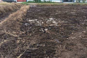 Land for sale in Bueng Kham Phroi, Pathum Thani