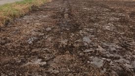 Land for sale in Bueng Kham Phroi, Pathum Thani