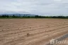 Land for sale in Wang Phai, Kanchanaburi