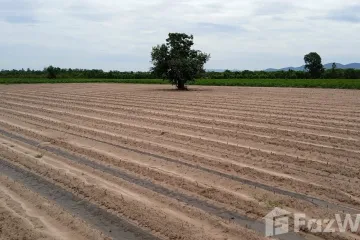 Land for sale in Wang Phai, Kanchanaburi