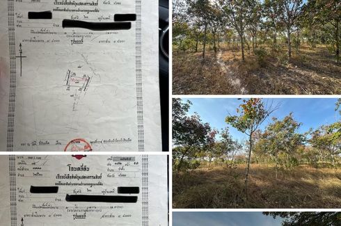 Land for sale in Pho Sai, Yasothon