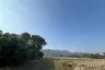 Land for sale in San Sai, Chiang Mai