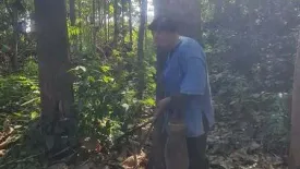 Land for sale in Pong Tao, Lampang