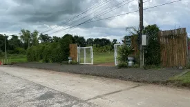 Land for sale in Thanon Hak, Buriram