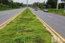 Land for sale in Bang Muang, Phang Nga