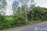 Land for sale in Ngio Don, Sakon Nakhon