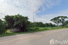 Land for sale in Nai Mueang, Nong Khai