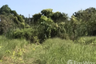 Land for sale in Wat Lamut, Nakhon Pathom