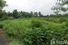 Land for sale in Ban Ko, Samut Sakhon