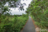Land for sale in Ban Ko, Samut Sakhon