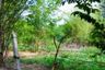 Land for sale in Nam Ruem, Tak