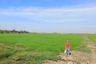 Land for sale in Ban Sang, Prachin Buri