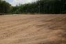 Land for sale in Nong Lalok, Rayong