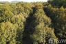 Land for sale in Thung Khwai Kin, Rayong