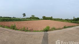 Land for sale in Bueng Phra, Phitsanulok