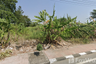 Land for sale in Ban Khai, Rayong