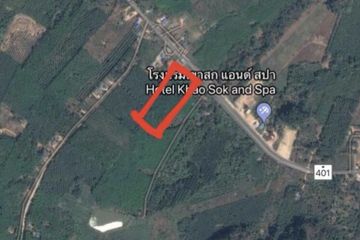 Land for sale in Khlong Sok, Surat Thani