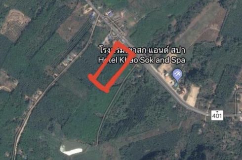 Land for sale in Khlong Sok, Surat Thani