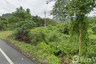 Land for sale in Khlong Sok, Surat Thani