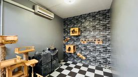 5 Bedroom Townhouse for sale in Baan Prueksa 30/2, Bang Rak Phatthana, Nonthaburi