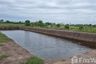 Land for sale in Bang Toei, Chachoengsao