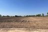 Land for sale in Thap Yai Chiang, Phitsanulok
