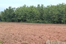 Land for sale in Nikhom Phatthana, Lampang