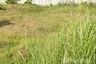 Land for sale in Samo Khae, Phitsanulok