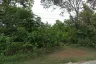 Land for sale in Pong Yang Khok, Lampang