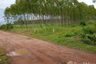 Land for sale in Ko Chan, Chonburi