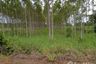 Land for sale in Ko Chan, Chonburi