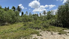 Land for sale in Khok Khian, Narathiwat