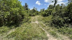 Land for sale in Khok Khian, Narathiwat