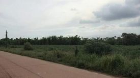 Land for sale in Nong Ki, Prachin Buri