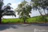 Land for sale in Lam Luk Ka, Pathum Thani