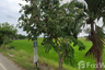 Land for sale in Lam Luk Ka, Pathum Thani