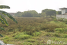 Land for sale in Thanon Khat, Nakhon Pathom