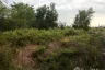 Land for sale in Don Han, Khon Kaen