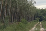 Land for sale in Maenam Khu, Rayong