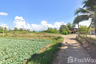 Land for sale in Nong Khwai, Phetchabun