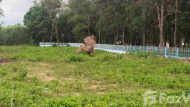 Land for sale in Nong Teng, Buriram