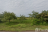 Land for sale in That Phanom, Nakhon Phanom