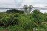 Land for sale in Wat Chan, Phitsanulok