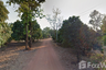 Land for sale in Chomphu, Phitsanulok