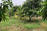 Land for sale in Don Yai Hom, Nakhon Pathom