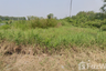 Land for sale in Phan Thong, Chonburi