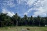 Land for sale in Ko Yao Yai, Phang Nga