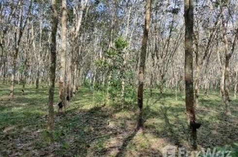 Land for sale in Tha Chang, Songkhla