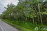 Land for sale in Hat Phan Krai, Chumphon