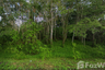 Land for sale in Hat Phan Krai, Chumphon